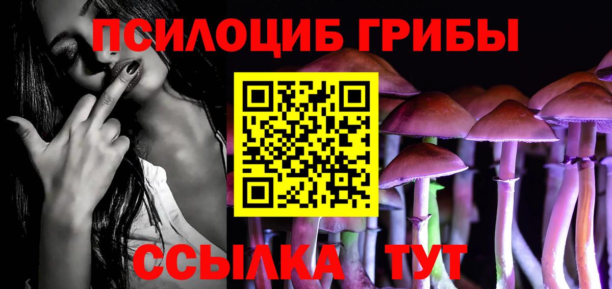 Псилоцибиновые грибы GOLDEN TEACHER Дмитров